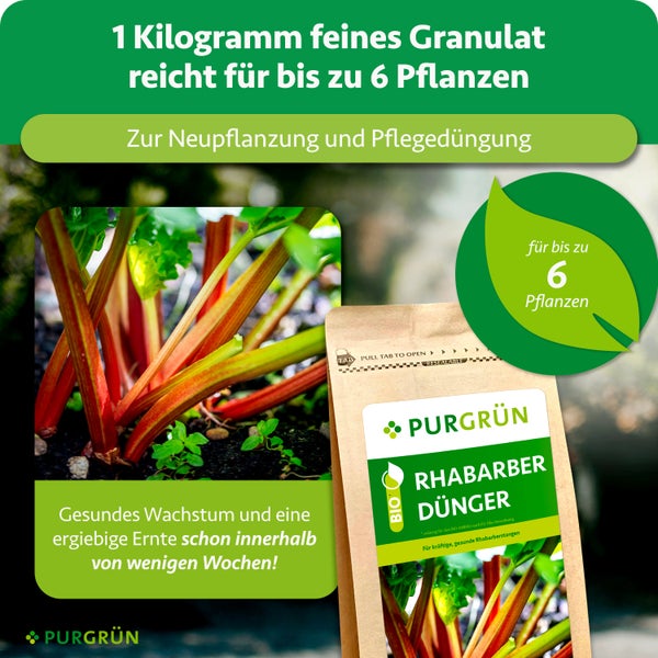Ein lächelnder Gärtner mit Strohhut neben einer 1 Kilogramm Packung Purgrün Bio Rhabarberdünger mit Kohle und Mykorrhiza für gesunde Pflanzen.