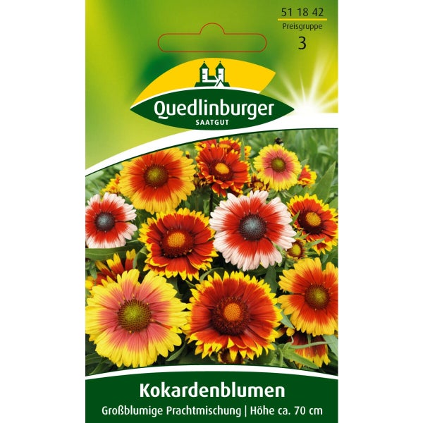 Kokardenblume Großblumige Mischung Samen von Quedlinburger SAATGUT