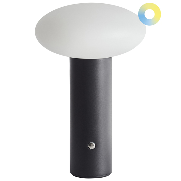 Tischleuchte mit Schirm und Knopf