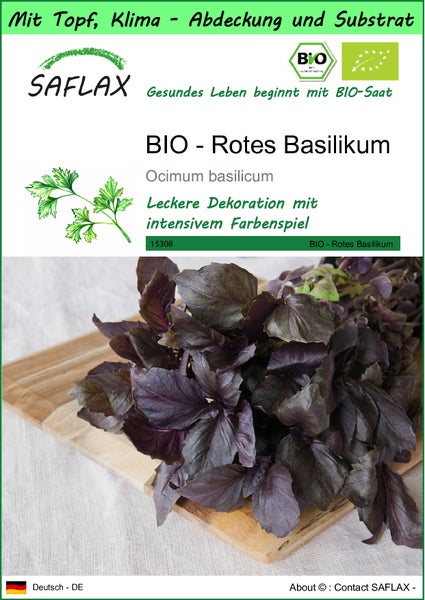 SAFLAX Garden to go - BIO - Rotes Basilikum - Ocimum basilicum - 400 Samen - Mit Topf, Klima - Deckel und Anzuchtsubstrat