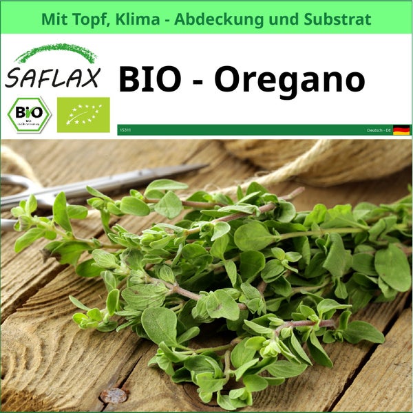 Bio Oregano Pflanze im Topf mit Klimaabdeckung und Substrat