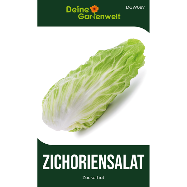 Zichoriensalat Zuckerhut von Deine Gartenwelt Logo, länglicher Salatkopf mit hellgrünen Blättern und weißen Blattadern.
