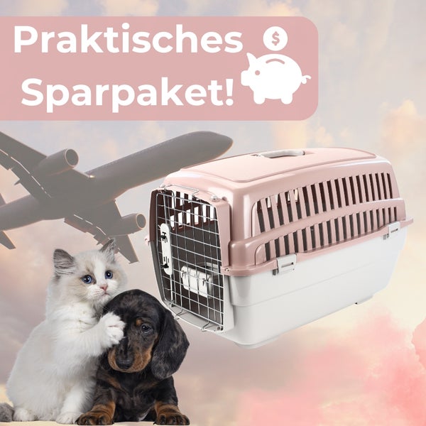Praktisches Sparpaket mit Transportbox für Haustiere, geeignet für Reisen