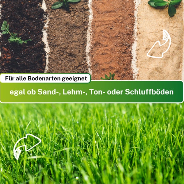 Greenyp Berliner Tiergarten I robuster & schnellkeimender Universalrasen I 2,5kg für 100m² I Zierrasen Grassamen Rasensamen Rasensaat Gras Nachsaat