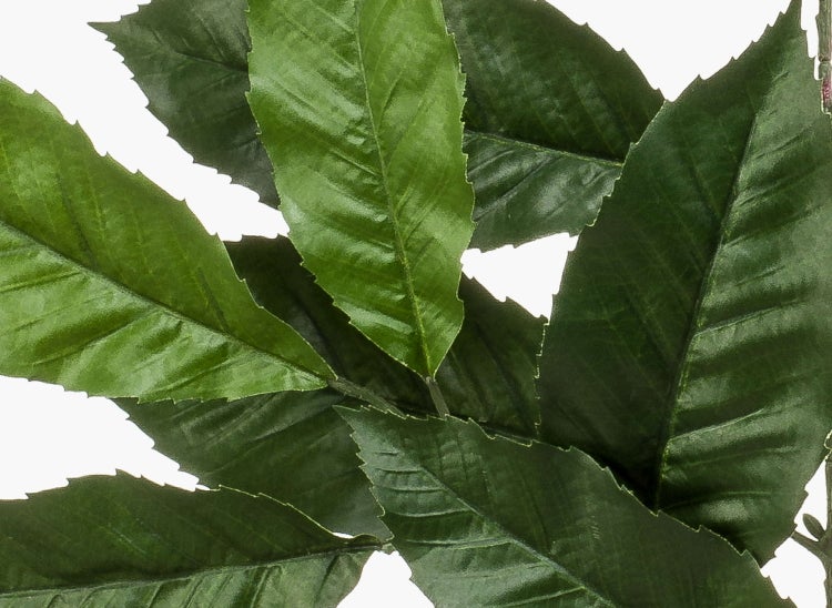 Nahaufnahme von künstlichen Monstera-Blättern mit charakteristischen Löchern.