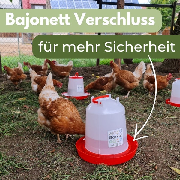 Szene mit Hühnern und einem Geflügeltränkeautomat mit Bajonettverschluss für mehr Sicherheit.