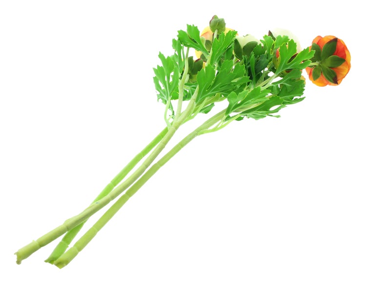 FRANK FLECHTWAREN|Kunstblume Ranunkeln, 3er Set, Höhe 66 cm, KUNSTSTOFF, METALL