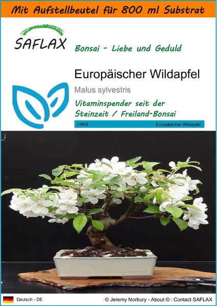 SAFLAX Garden in the bag - Europäischer Wildapfel - Malus sylvestris - 30 Samen - Mit Anzuchtsubstrat im praktischen, selbst aufstellenden Beutel