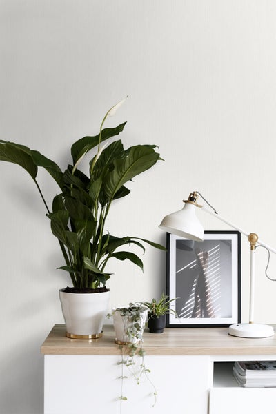 Dekorative Szene mit Zimmerpflanzen, Lampe und gerahmtem Bild auf einer Kommode.