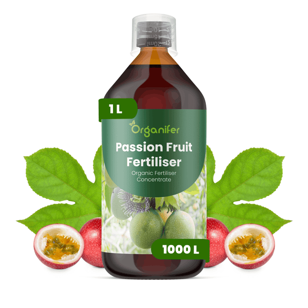 Organifer Passionsfrucht-Dünger, 1 Liter Flasche, organisches Düngerkonzentrat für 1000 Liter.