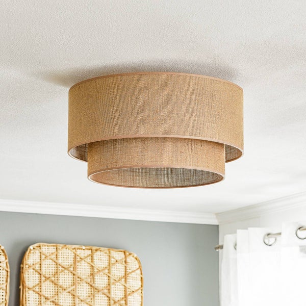 Hauswurz-Pflanze im Detail