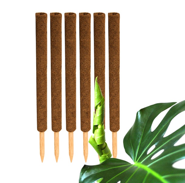 BigDean 6er Set Pflanzstäbe Kokos 60 cm - Monstera Rankhilfe Rankstäbe Stab Moosstäbe Pflanzenstäbe Kokosstäbe für Pflanzen - aus natürlicher Kokosfaser - verlängerbar