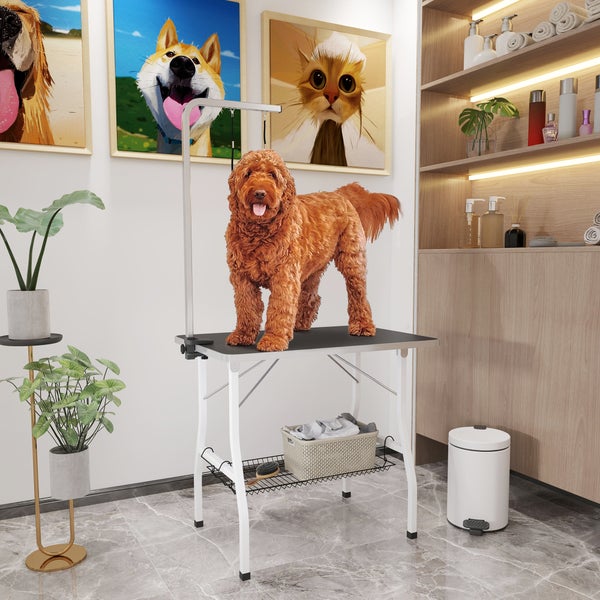 PawHut Hundepflegetisch, Trimmtisch für Hunde, klappbar Schertisch, Haustierpflegetisch mit Netzkorb, Schlingen, für Haartrocken, Haarschneiden, bis 40kg belastbar Schwarz+Weiß