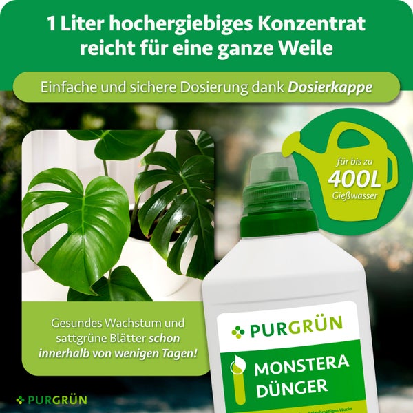 Purgrün Monstera Dünger Flasche mit Dosierkappe für gesundes Wachstum bei Zimmerpflanzen