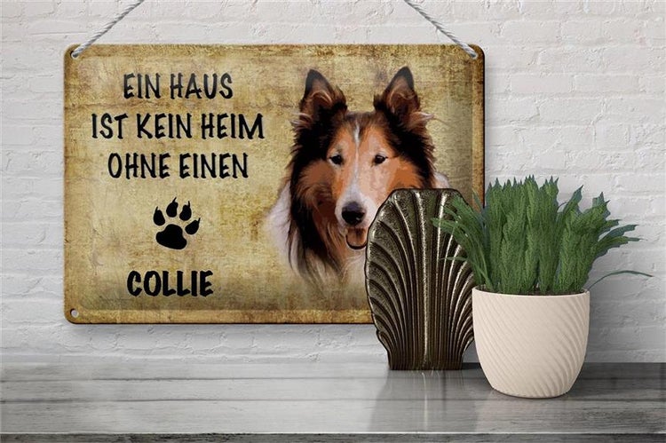 Blechschild Spruch 30x20cm Collie Hund ohne kein Heim