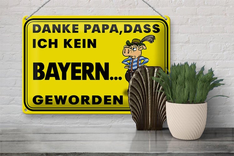 Blechschild Spruch 30x20cm Danke Papa dass ich kein Bayer