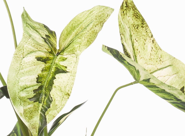 Künstliche Monstera Pflanze im schwarzen Kunststofftopf mit gemusterten Blättern.