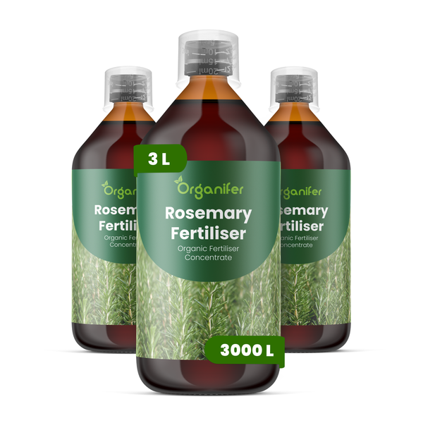 Drei Flaschen Organifer Rosmarindünger, organisches Düngerkonzentrat, 3 Liter.