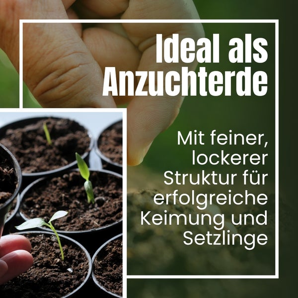 Anzuchterde für erfolgreiche Keimung und Setzlinge mit feiner, lockerer Struktur.