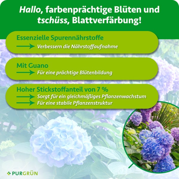 Infografik zu Purgrün Hortensiendünger mit Vorteilen wie Spurennährstoffen, Guano und 7 Prozent Stickstoff für üppige Blüten und gesundes Wachstum.