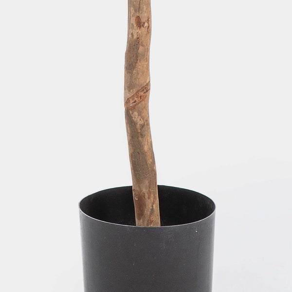 Nahaufnahme eines strukturierten braunen Stamms einer Kunstpflanze in einem schwarzen Kunststofftopf.