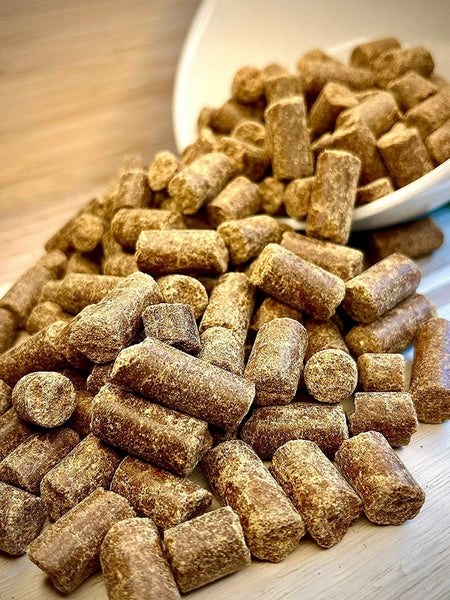Kaltgepresst Ente (1 x 14,5 kg) getreidefreies Hundefutter | hoher Fleischanteil (ca. 90% Ente frisch)| Muskelfleisch | Naturnahes Trockenfutter mit Kartoffeln & Blaubeere