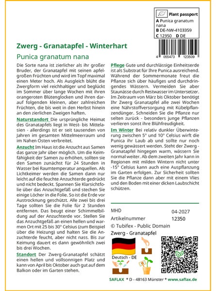 SAFLAX  - Zwerg - Granatapfel - Punica granatum nana - 50 Samen