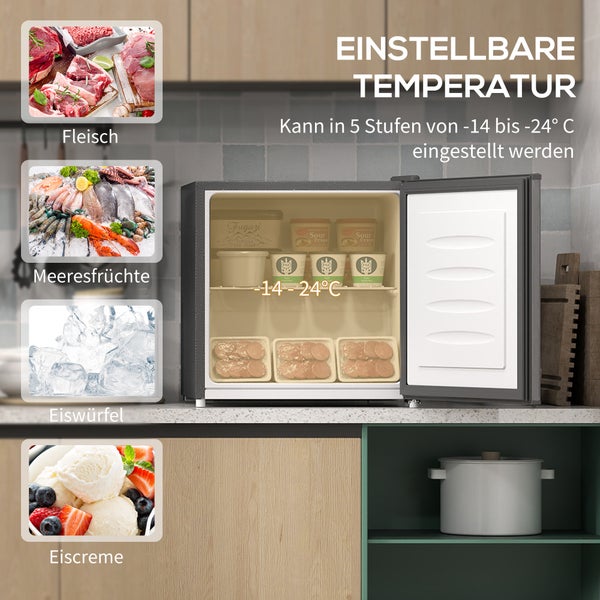 Kleiner Gefrierschrank mit Beispielen für Fleisch, Meeresfrüchte und Eis. Temperatur einstellbar von minus 14 bis minus 24 Grad Celsius.