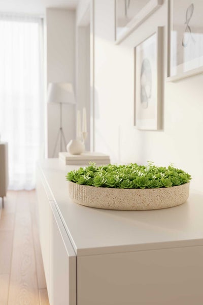 Künstliche Sukkulenten in einer flachen Schale mit Stein-Optik auf einem weißen Sideboard in einem hellen, modernen Wohnbereich.