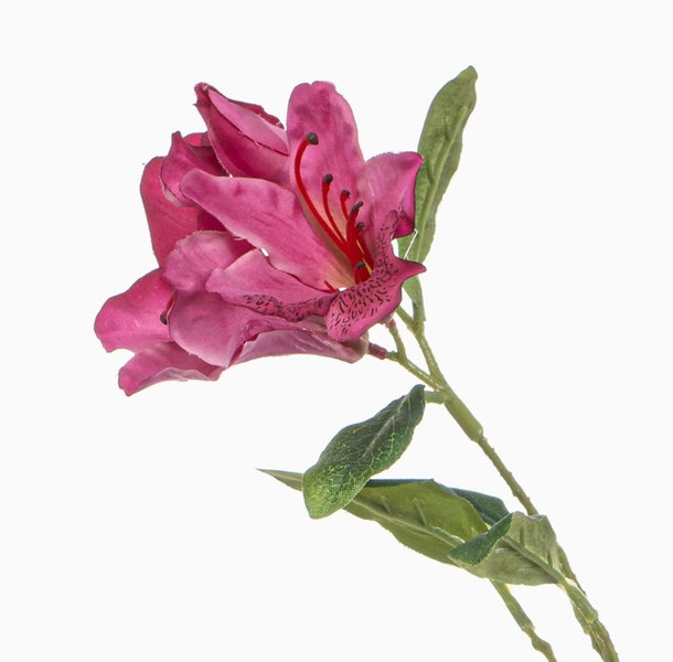 Deko Zweig Azalee VROWIN, pink, 125cm - Künstlicher Azaleezweig