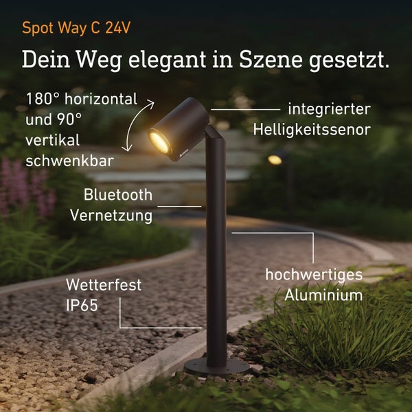 Steinel Außenleuchte Spot Way C 24V aus Aluminium, 180 Grad schwenkbar, mit Bluetooth, Helligkeitssensor und Schutzart IP65.