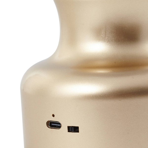 Nahaufnahme eines goldfarbenen Produkts mit USB-Anschluss und Schiebeschalter.