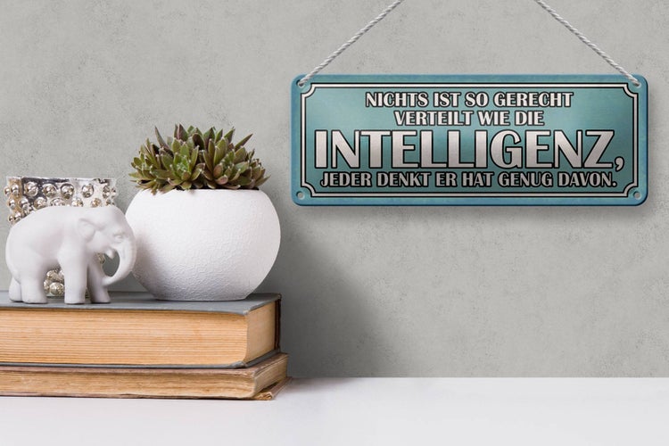 Blechschild Spruch 27x10cm Intelligenz gerecht verteilt Dekoration