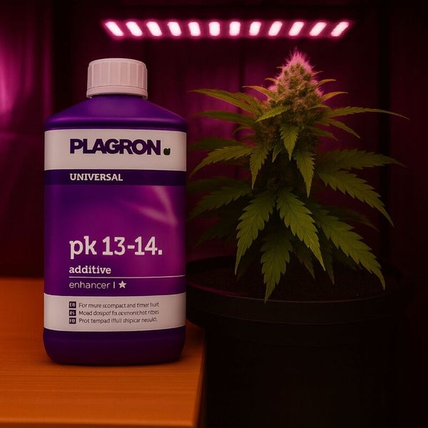 Plagron Universal PK 13-14 Zusatzstoff neben einer Topfpflanze unter einer Pflanzenlampe.