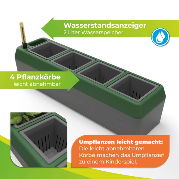 Kräuter-Pflanzkasten mit 4 herausnehmbaren Pflanzeinsätzen, Wasserstandsanzeiger und 2 Liter Wasserspeicher.
