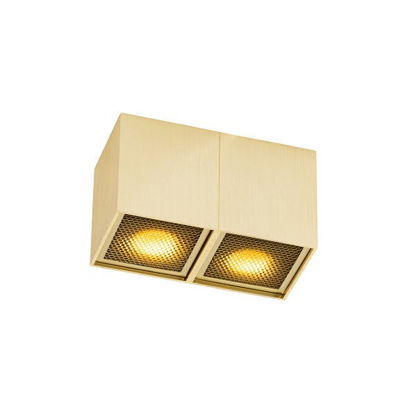 Quadratische Deckenleuchte mit zwei Lampen und Gitter