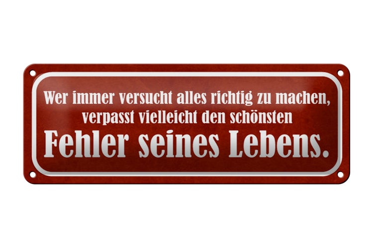 Blechschild Spruch 27x10cm schönster Fehler seines Lebens Dekoration