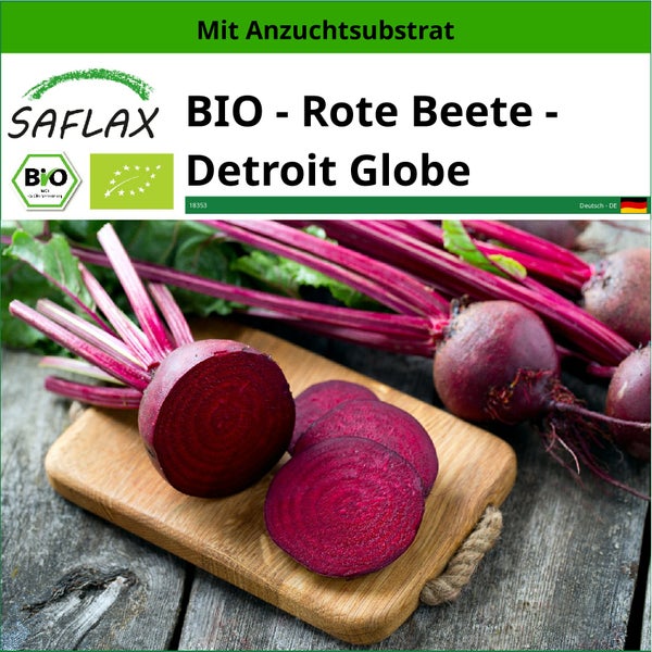 SAFLAX  - BIO - Rote Beete - Detroit Globe - Beta vulgaris - 100 Samen - Mit keimfreiem Anzuchtsubstrat