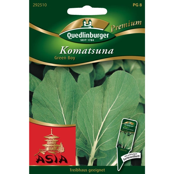 Komatsuna Green Boy Samen von Quedlinburger SAATGUT