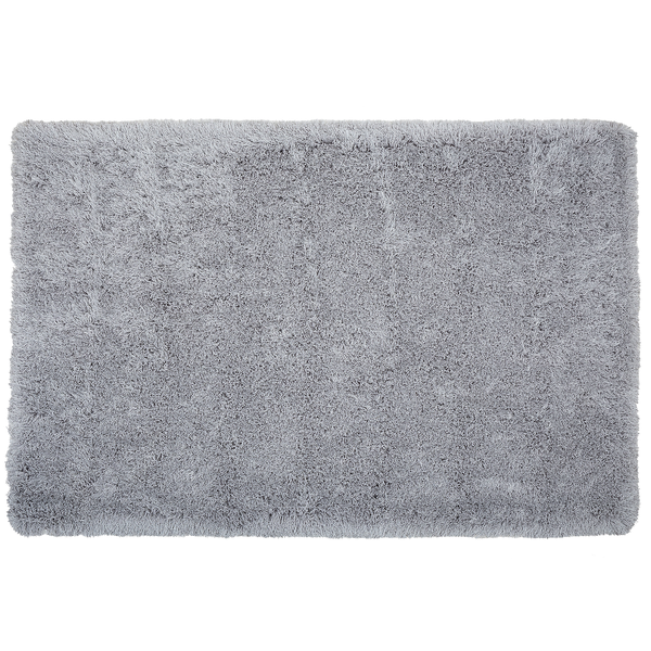 Teppich hellgrau 200 x 300 cm Shaggy CIDE