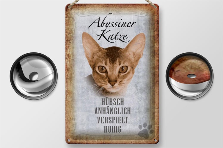 Blechschild Spruch 20x30cm Abyssiner Katze hübsch verspielt