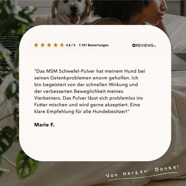 ALPHAZOO MSM Pulver 250g für Hunde und Katzen I Organischer Schwefel für Agility