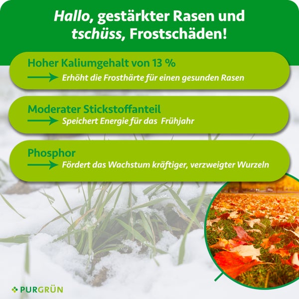 Infografik zeigt Vorteile von Rasendünger mit Kalium, Stickstoff und Phosphor für winterfesten Rasen und Purgrün Logo.