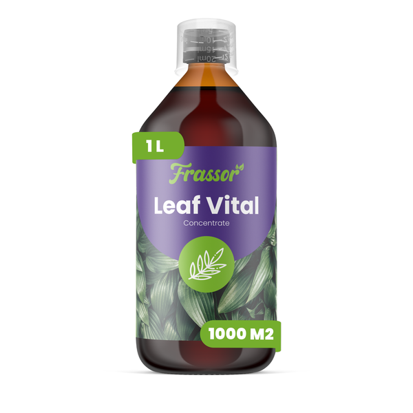 Frassor Blattdünger Leaf Vital Konzentrat, 1 Liter Flasche für 1000 Quadratmeter.