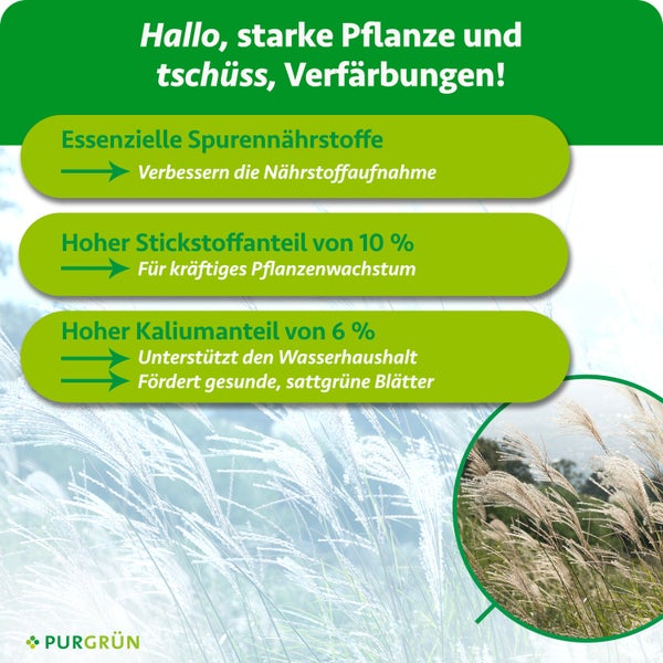 Infografik für Dünger mit Purgrün Logo: 10 Prozent Stickstoff für kräftiges Wachstum, 6 Prozent Kalium für gesunde Blätter sowie Spurennährstoffe.