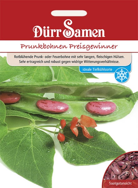 Prunkbohnen Preisgewinner Samen von Dürr Samen