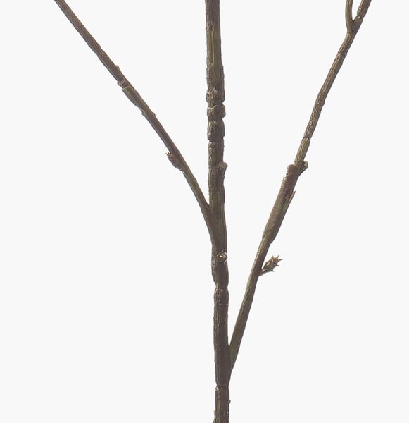 Künstliche Anthurie Flamingoblume mit roten Blüten und grünen Blättern