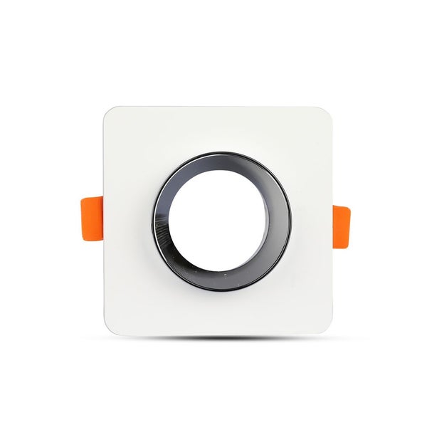 Nahaufnahme von Mimosenpflanzen im Garten