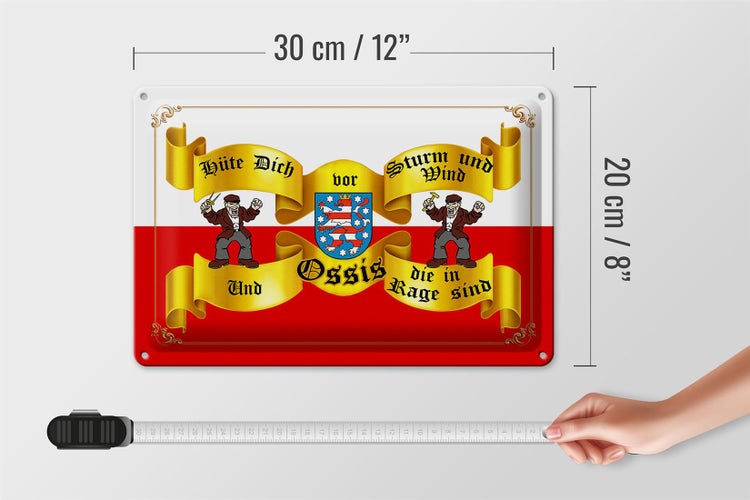 Blechschild Spruch 30x20cm hüte dich vor Sturm Wind Ossis Berlin