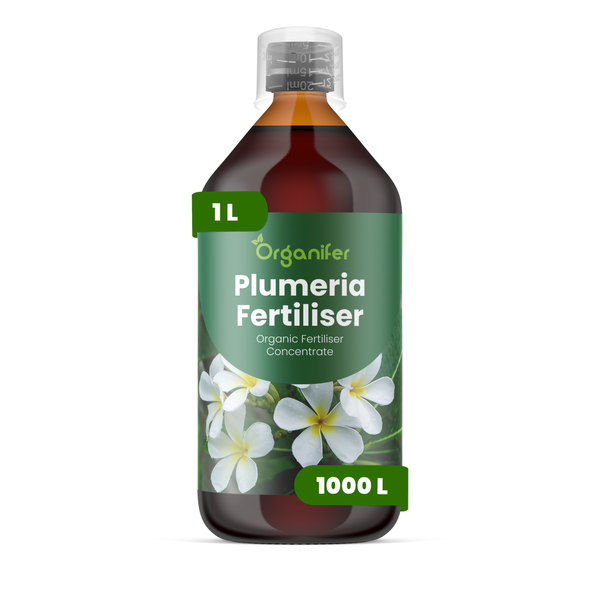 Organifer Plumeria Dünger, 1 Liter, organisches Düngerkonzentrat für Plumerien.